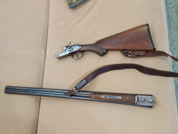 ruze-gladkostvolnoe-big-0