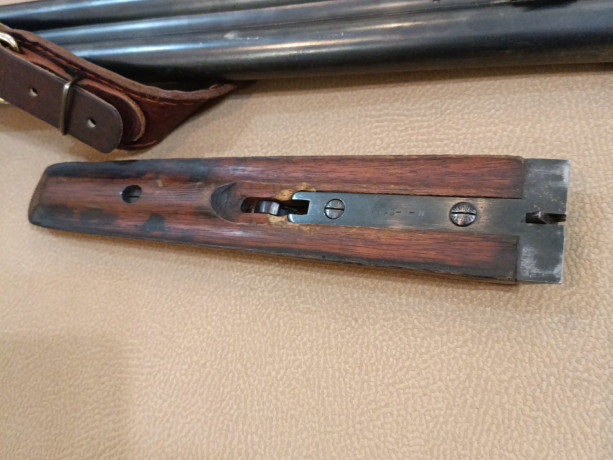 ruze-gladkostvolnoe-big-4