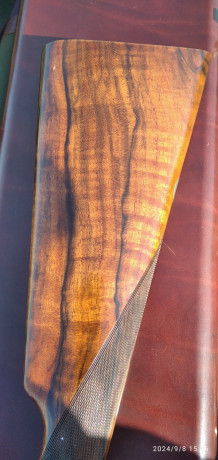 sauer-magma-1276-big-6