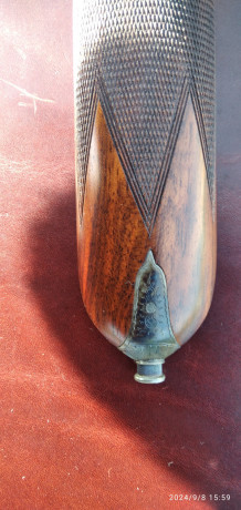 sauer-magma-1276-big-3