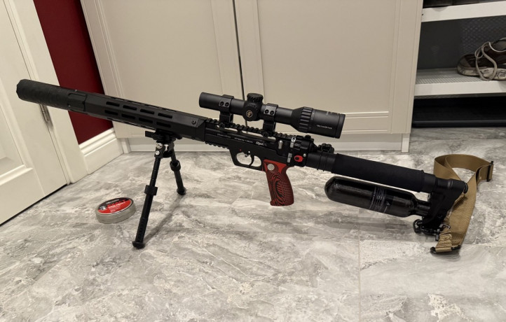 pnevmaticeskaia-vintovka-lesii-2-big-0