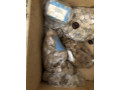 prisposobleniia-dlia-zariadki-oxotnicix-patronov-small-6