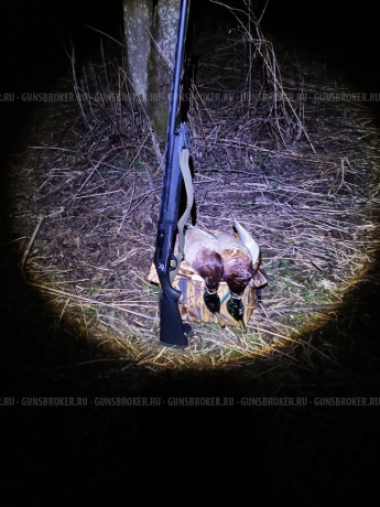 ruze-ata-arms-pegasus-big-1