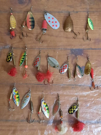 blesny-rybolovnye-big-0