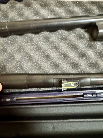 pegasus-prodam-big-3