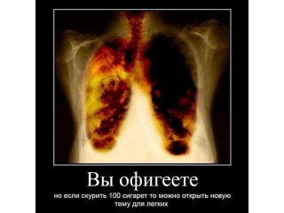 Ружье тестовое 2246