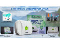 bytovoi-ozonatorionizator-altai-ocishhaet-vodu-i-vozdux-small-0