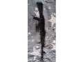 saiga-308-1-isp61-415-small-0