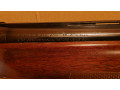 ruze-gladkostvolnoe-small-4