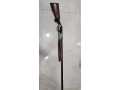 oxotnice-ruze-benelli-small-0