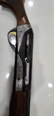 oxotnice-ruze-benelli-big-1