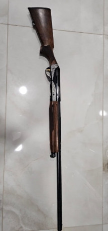 oxotnice-ruze-benelli-big-0