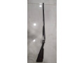 ruze-raritet-avgusta-lebo-small-2
