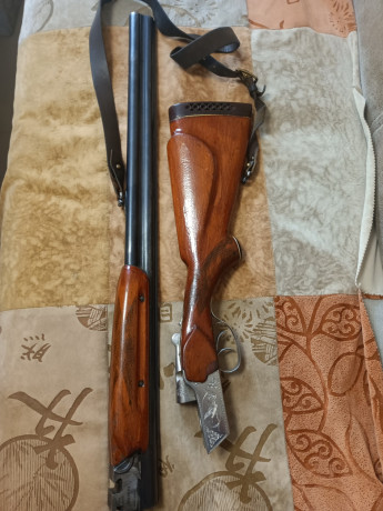 toz-34-r-big-5