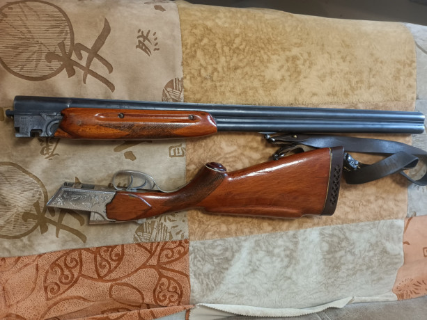 toz-34-r-big-6