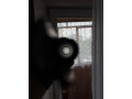 mr-153-small-0