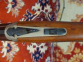 sabatti-adler-small-7