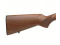 cz-452-2e-zkm-small-1