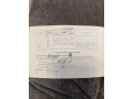 ruze-iz-27-small-1
