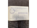 ruze-iz-27-small-5