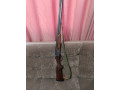 ruze-iz-27-small-5