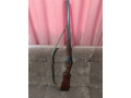 ruze-iz-27-small-4