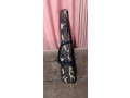 cexol-dlia-oruziia-small-0