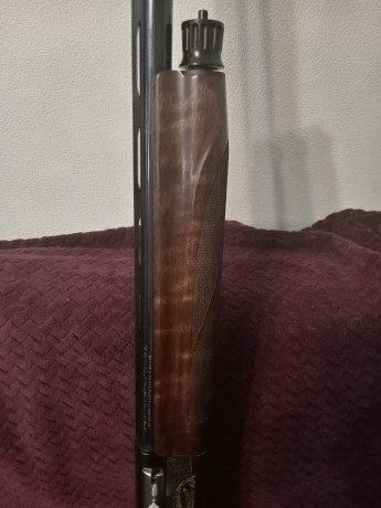 prodam-benelli-sl80-pasion1276l760-big-5