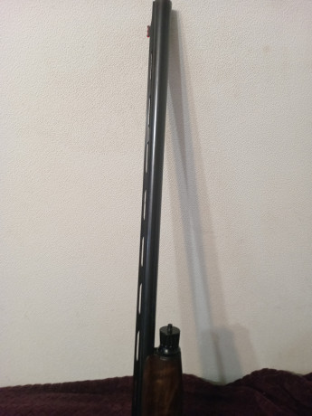 prodam-benelli-sl80-pasion1276l760-big-3