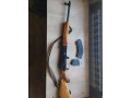 saiga-76239-small-0