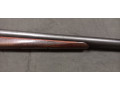 ruze-sauer-k-1670-small-3