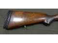 ruze-sauer-k-1670-small-1