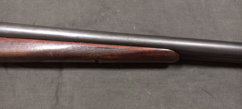 ruze-sauer-k-1670-big-3