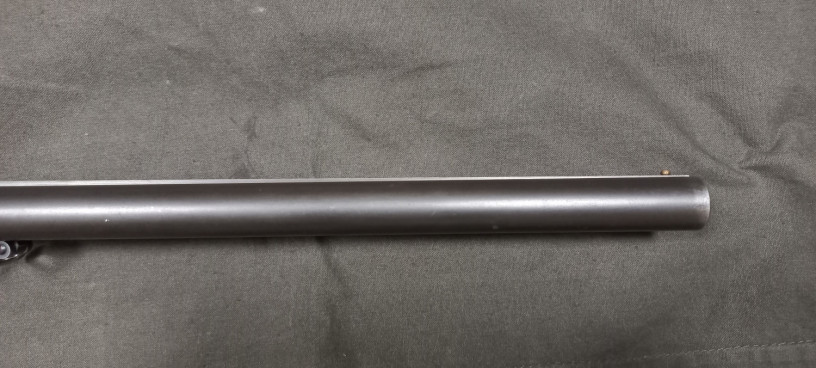 ruze-sauer-k-1670-big-4