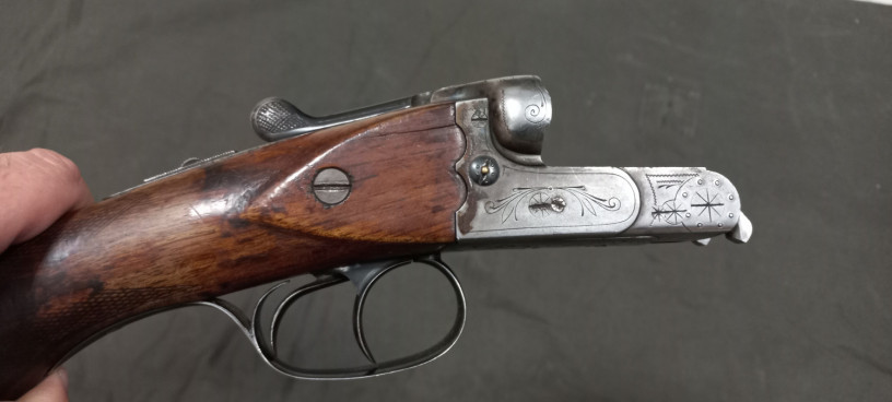 ruze-sauer-k-1670-big-5