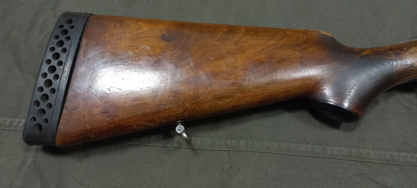 ruze-sauer-k-1670-big-1