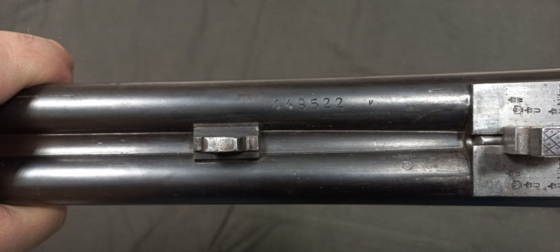 ruze-sauer-k-1670-big-7