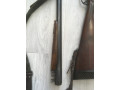 prodam-ruze-mr-43-1270-angliiskaia-loza-small-2