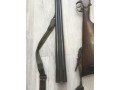 prodam-ruze-mr-43-1270-angliiskaia-loza-small-6