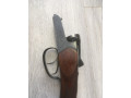 prodam-ruze-mr-43-1270-angliiskaia-loza-small-4