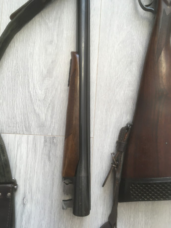 prodam-ruze-mr-43-1270-angliiskaia-loza-big-2