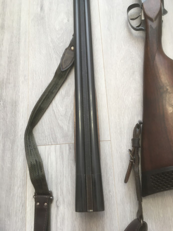 prodam-ruze-mr-43-1270-angliiskaia-loza-big-6