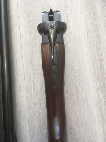 prodam-ruze-mr-43-1270-angliiskaia-loza-big-7