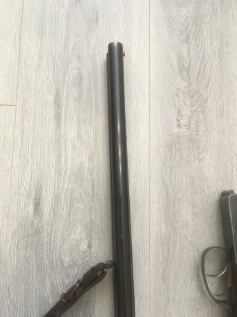 prodam-ruze-mr-43-1270-angliiskaia-loza-big-3