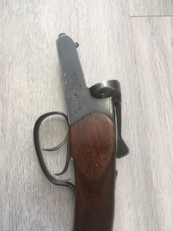 prodam-ruze-mr-43-1270-angliiskaia-loza-big-4