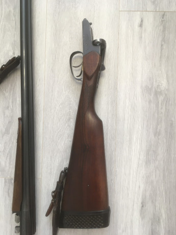 prodam-ruze-mr-43-1270-angliiskaia-loza-big-1