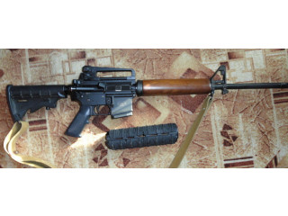 AR 15