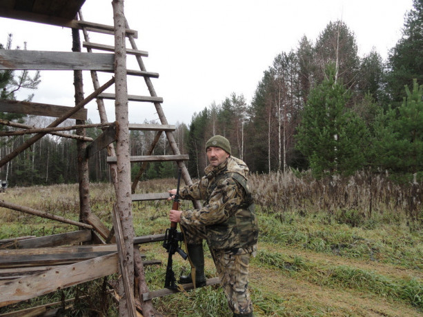 ar-15-big-2