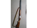 ruze-toz-34er-small-0