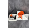 kollimatornyi-pricel-kahles-small-1